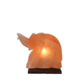 EleLamp